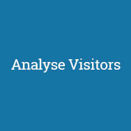 Analyse Visitors WordPress plugin text logo